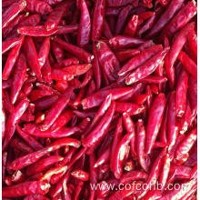 Dried Chili